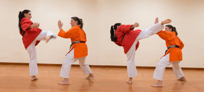 Karate Sincrony Karate Sincrony
