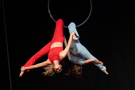 Aerial Hoop